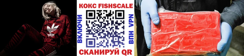 omg ссылка  купить наркотики цена  Вологда  COCAIN FishScale 