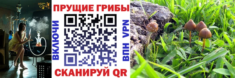 мега зеркало  Вологда  Галлюциногенные грибы MAGIC MUSHROOMS 