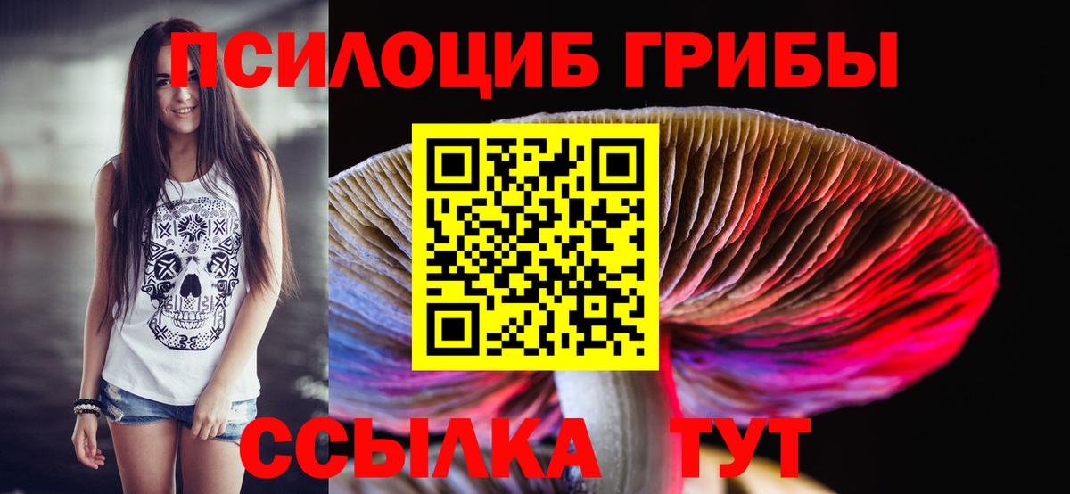 Вологда  Галлюциногенные грибы Psilocybine cubensis  Вход с VPN 